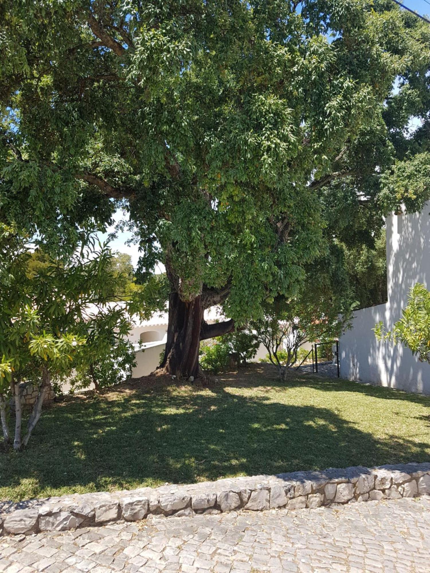 Balaia Gardens, Jardins Da Balaia Hotell Albufeira Eksteriør bilde