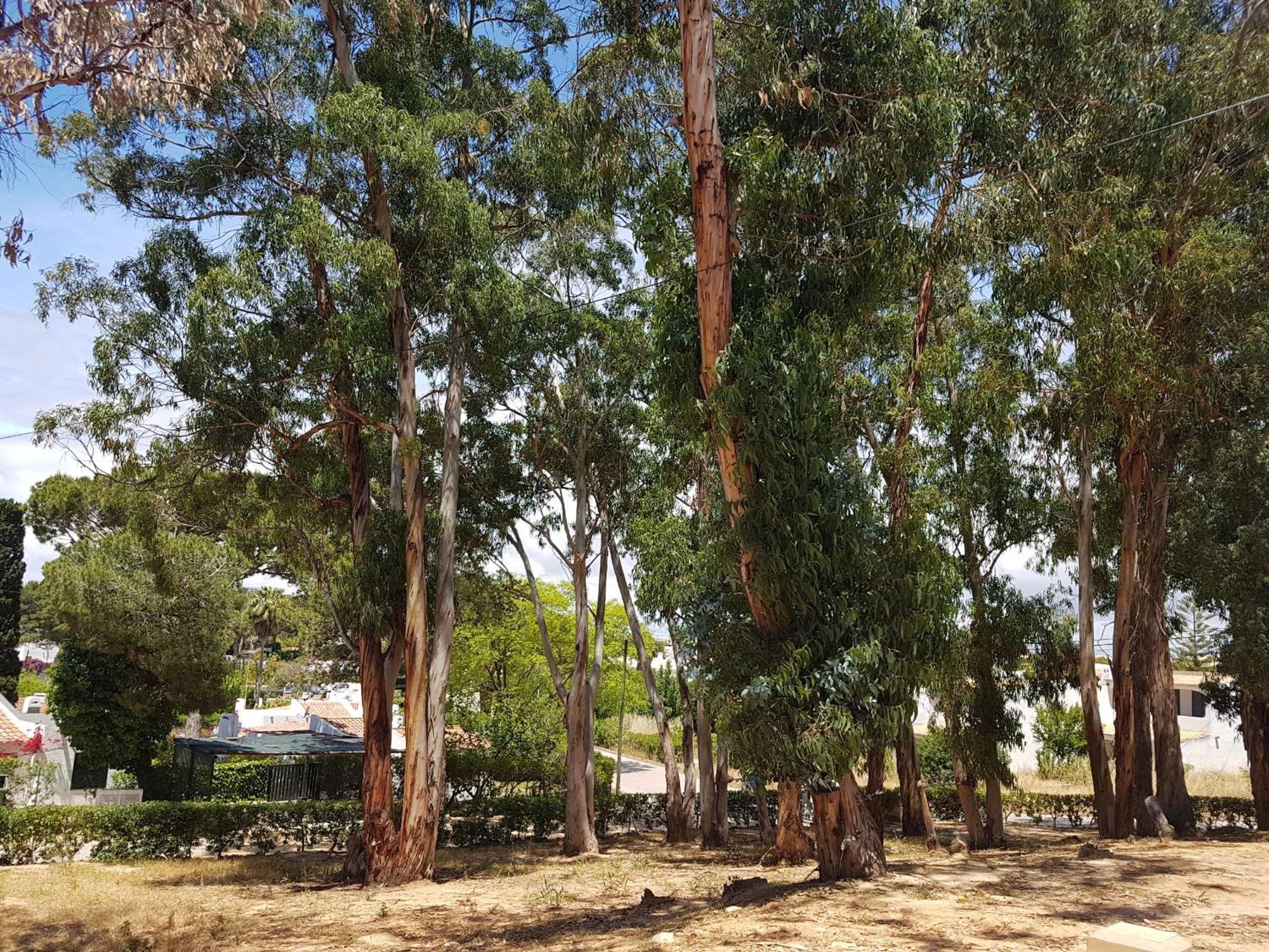 Balaia Gardens, Jardins Da Balaia Hotell Albufeira Eksteriør bilde
